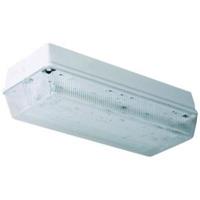 Bulkhead P 1
